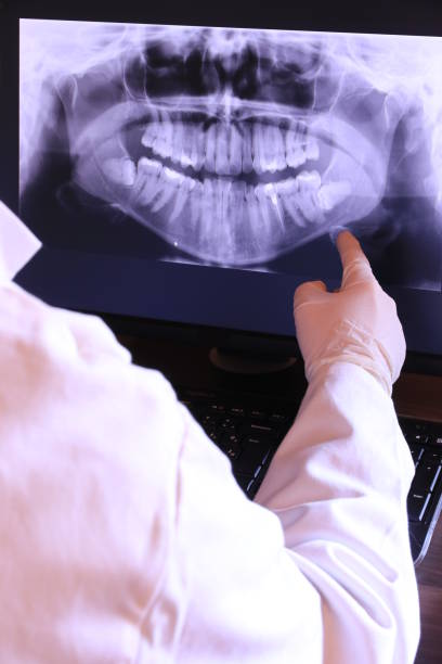 Best Emergency X-Rays and Diagnostics in Tontitown, AR